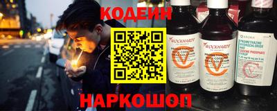 индика Гусь-Хрустальный