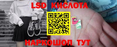 индика Гусь-Хрустальный