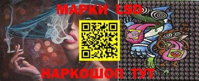 индика Гусь-Хрустальный