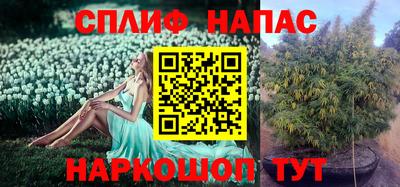 индика Гусь-Хрустальный