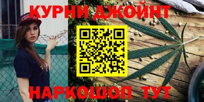 индика Гусь-Хрустальный