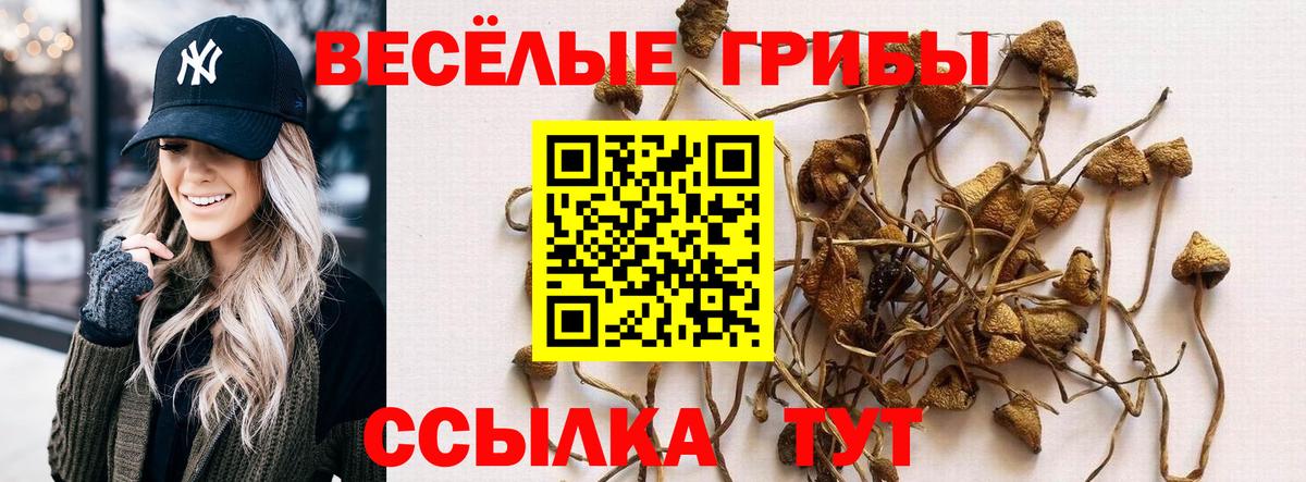 Железногорск  Псилоцибиновые грибы мухоморы  Псилоцибиновые грибы Magic Shrooms  Вход с VPN 