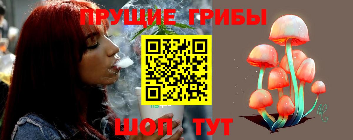 Псилоцибиновые грибы Psilocybe Железногорск